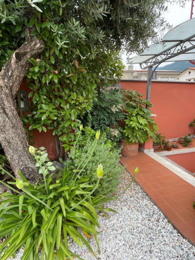 In Versilia Серавецца Экстерьер фото
