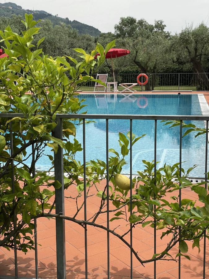 In Versilia Серавецца Экстерьер фото