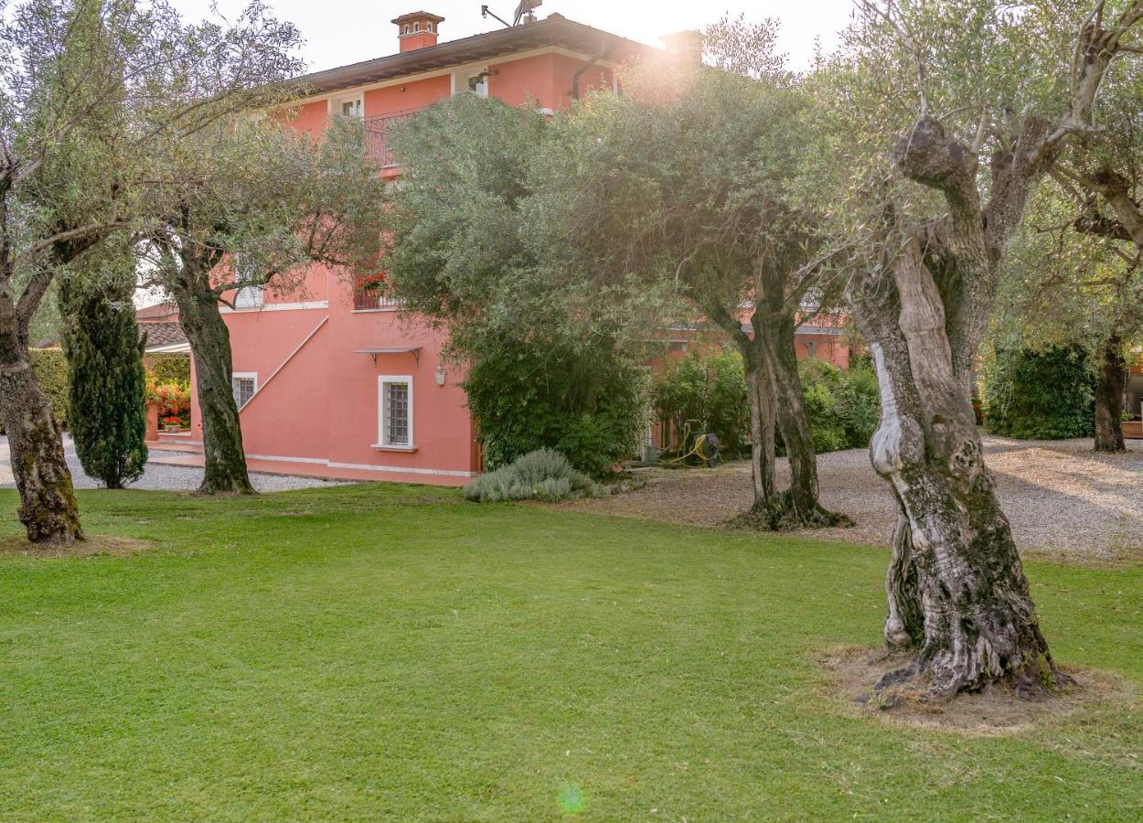 In Versilia Серавецца Экстерьер фото