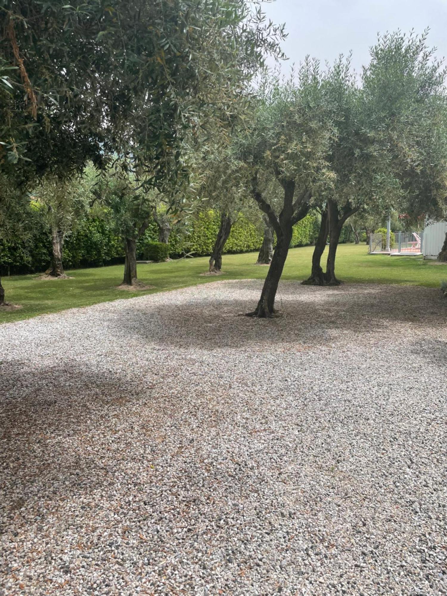In Versilia Серавецца Экстерьер фото